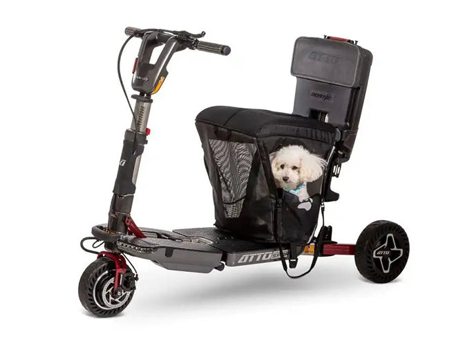 petcarrier.jpg